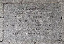 Plaque.