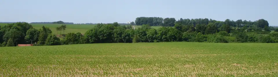 Vue du plateau de Mouriez – interfluve Canche-Authie — lieu-dit du bout-d'haut en contre bas.