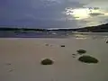 Plage sur le Río Sardinata, dans l'état d'Amazonas.