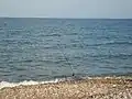 Plage de Capicorb