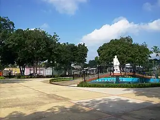Boraure