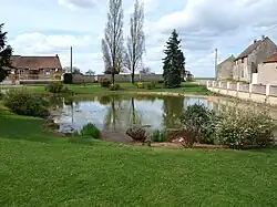 La mare du village.