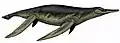 Dessin de 'Pliosaurus' irgisensis