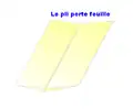 Le pli porte-feuille.