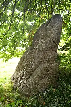 Image illustrative de l’article Menhir de Camarel