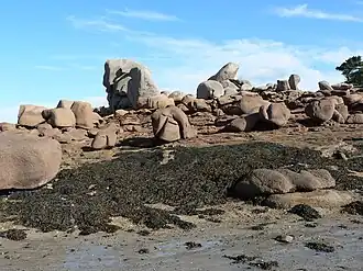 Plage de Ploumanac'h (marée basse).