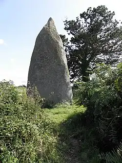 Plounéour-Trez : le menhir sud de Pontusval