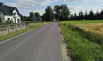 Podkornaty