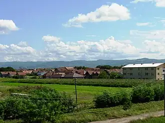 Sajlovo