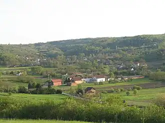 Senaja