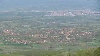 Vasilj