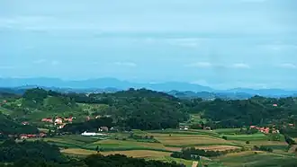 Šagudovec