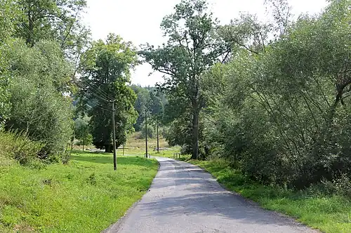 Route no 366.