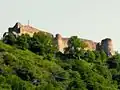 Ruines de la citadelle de Poenari