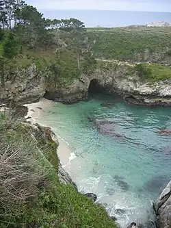 Crique de la réserve d'État de Point Lobos