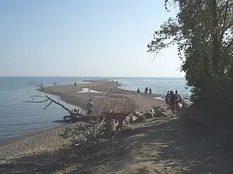 Pointe Pelée