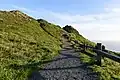 Randonnée dans le Point Reyes National Seashore en décembre 2016.