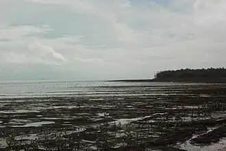 La Pointe Isère en 2011.
