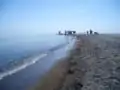 Pointe Pelée au printemps