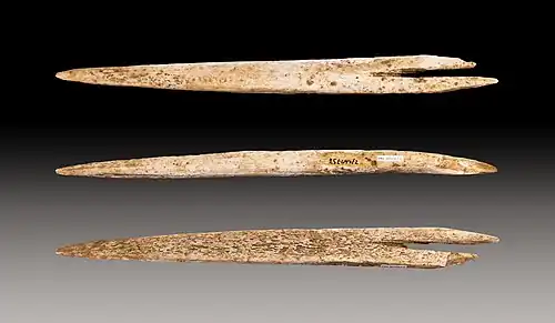 Pointe de sagaie, Isturitz (Pyrénées-Atlantiques)- Muséum de Toulouse