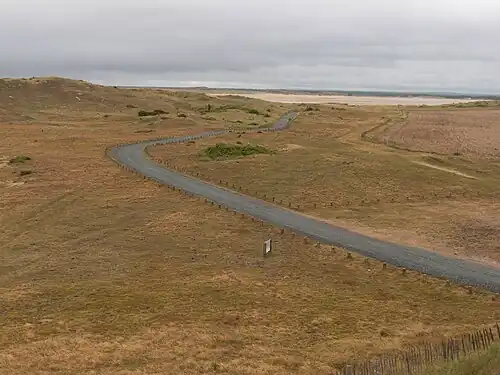 Les dunes à la Pointe du Banc.