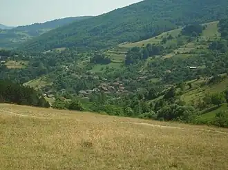 Pokrevenik