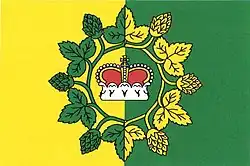 Drapeau de Polepy