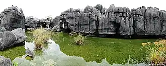 Jequitaí