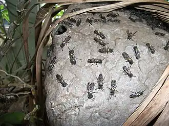Description de cette image, également commentée ci-après