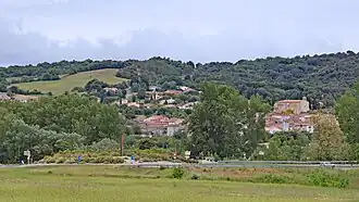 Pomas