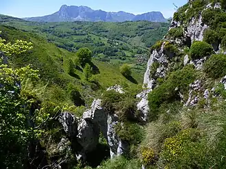 Ponga (Asturies)