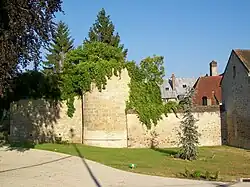 Vue d'un mur et d'une tour pris dans la végétation.