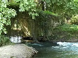 Arche no&nbsp;4.