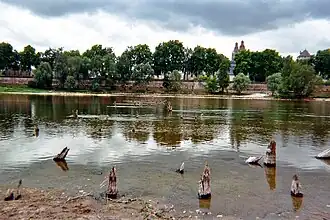 photo de pieux antiques alignés et dépassant de l'eau