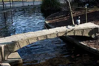 Photo du pont du Jardin des plantes