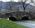 Pont sur la Seille (La Peyrouse).
