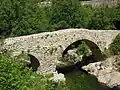Pont médiéval sur la Têt, Serdinya.