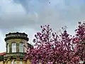 Tour du lycée