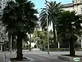 Façade entre les palmiers