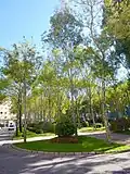 Jardin de la place