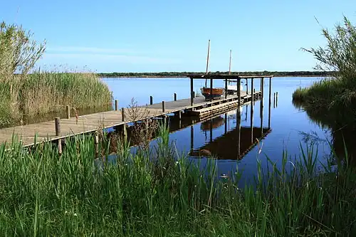 Ponton.