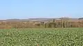 Vue du hameau de Berthaucourt.