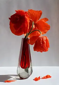 Un bouquet de pavots d'orient.