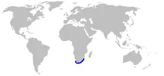 Description de l'image Poroderma_africanum_distmap.png.