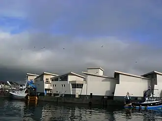 Criée du port de pêche de la Turballe.