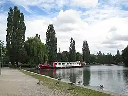 Canards
