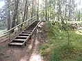 Escalier du sentier.