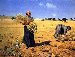 António Carvalho da Silva Porto, colheita-ceiferas (pt), Moisson-moissonneuses. Mise en gerbes