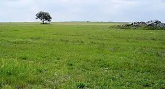 São Matias (Beja)