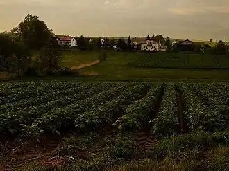 Posadówka